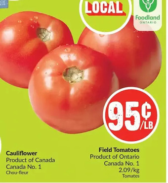 FreshCo Field tomatoes offer