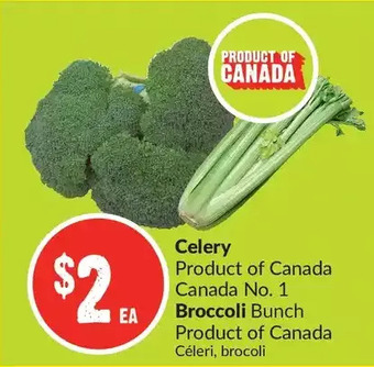 FreshCo Celery | broccoli offer