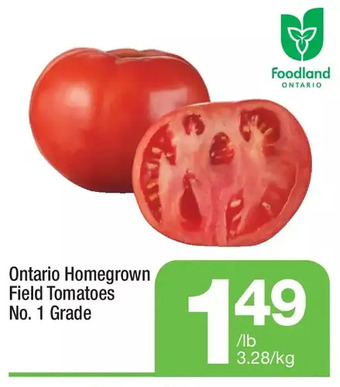 Highland Farms Field tomatoes offer