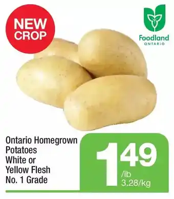 Ontario homegrown potatoes white or yellow flesh