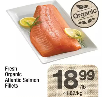 Highland Farms Fresh organic atlantic salmon fillets offer