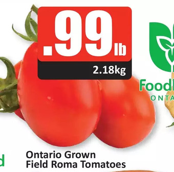 Starsky Ontario grown field roma tomatoes offer