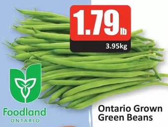 Starsky Ontario grown green beans offer