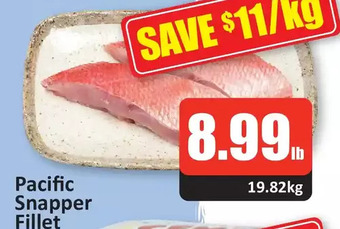 Starsky Pacific snapper fillet offer