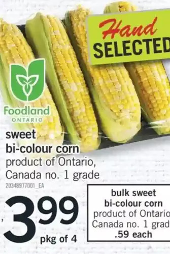 Fortinos Sweet bi-colour corn offer