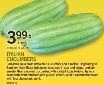 Fortinos Italian cucumbers offer
