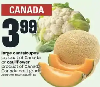 Independent Grocer Large cantaloupes or cauliflower offer