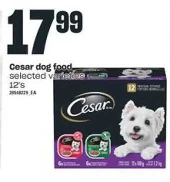 Independent Grocer Cesar dog food offer