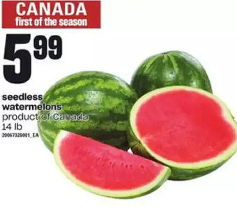 Loblaws Seedless watermelon offer
