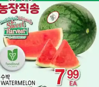 H-Mart Watermelon offer