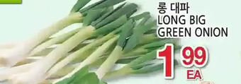 H-Mart Long big green onion offer