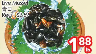 Superking Supermarket Live mussel offer