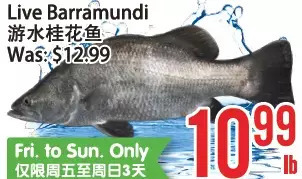 Bestco Food Mart Live barramundi offer
