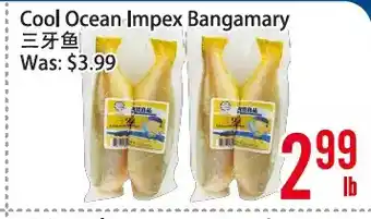 Bestco Food Mart Cool ocean lmpex bangamary offer
