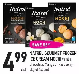 Coppa's Fresh Market Natrel gourmet frozen ice cream mochi offer
