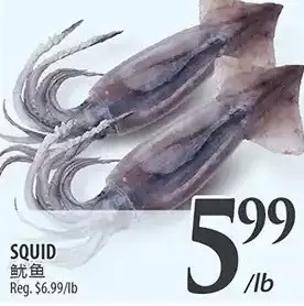 Al Premium Food Mart Squid offer