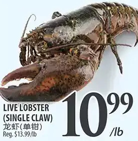 Al Premium Food Mart Live lobster offer