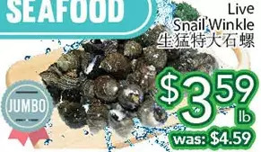 Ample Food Market Live snail winkle offer