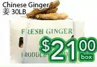 Ample Food Market Chinese ginger offer