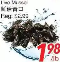 Foody World Live mussel offer
