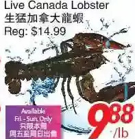 Foody World Live canada lobster offer