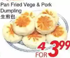 Foody World Pan fried vege & pork dumpling offer