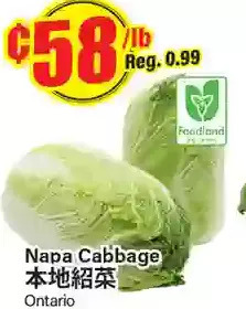 Btrust Supermarket Napa cabbage offer