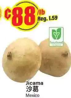 Btrust Supermarket Jicama offer