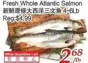 Tone Tai Supermarket Fresh whole atlantic salmon offer