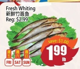 Fresh whiting