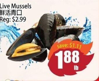 Field Fresh Supermarket Live mussels offer