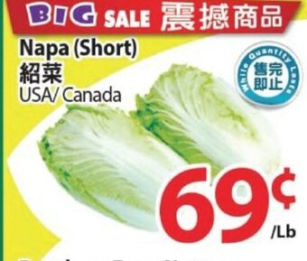 T&T Supermarket Napa (short) offer
