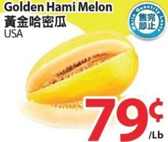 T&T Supermarket Golden hami melon offer