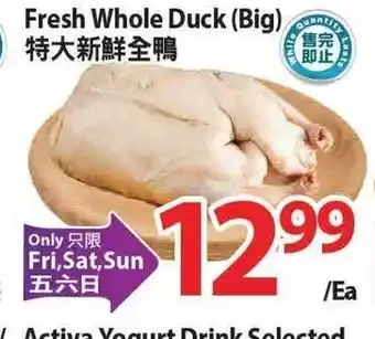 T&T Supermarket Fresh whole duck (big) offer