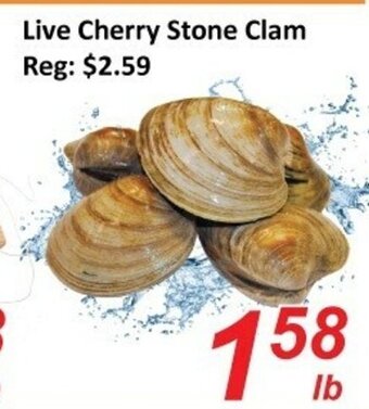 Fresh Win Foodmart Live cherry stone clam offer