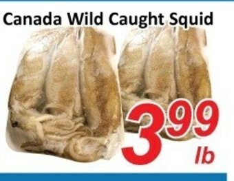 Fresh Win Foodmart Canada wild caught squid offer