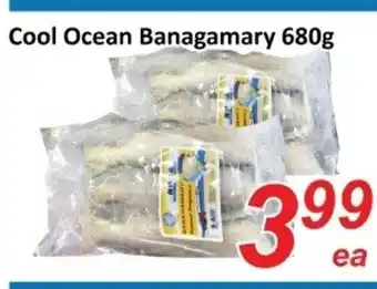 Fresh Win Foodmart Cool ocean banagamary offer