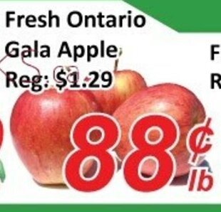 Fresh Win Foodmart Fresh ontario gala apple offer