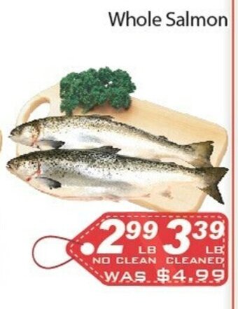 Ample Food Market Whole salmon offer