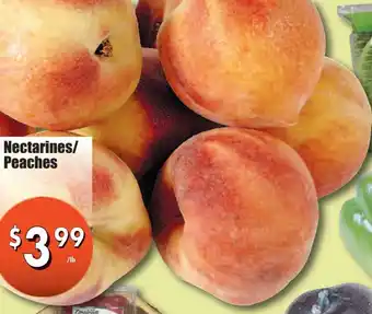 Westfort Foods Nectarines/peaches offer