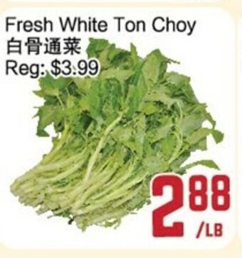 C&C Supermarket Fresh white ton choy offer