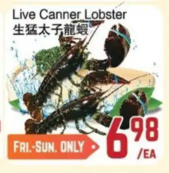 C&C Supermarket Live canner lobster offer