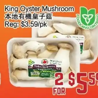 C&C Supermarket King Oyster Mushroom offer
