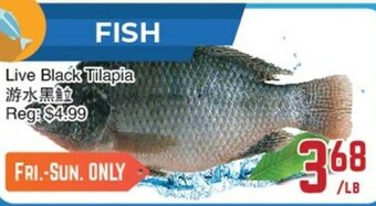 C&C Supermarket Live Black Tilapia offer