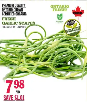 Fresh Garlic Scapes