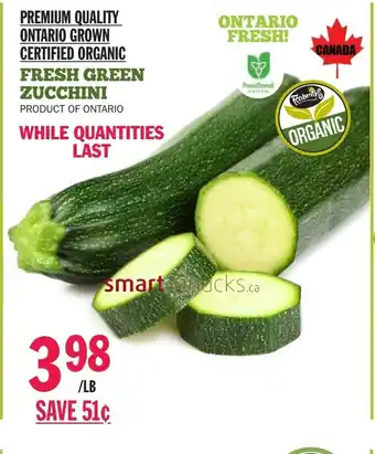 Fresh Green Zucchini
