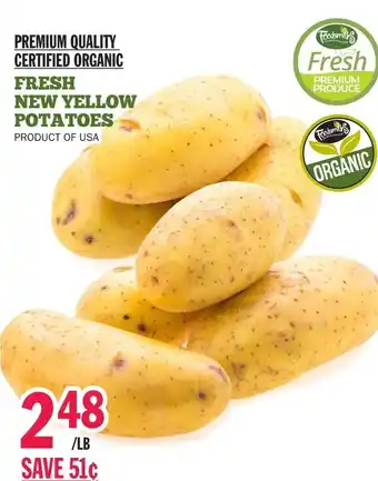 Fresh New Yellow Potatoes
