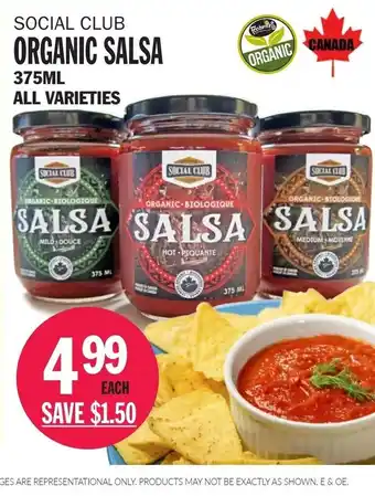 Organic Salsa