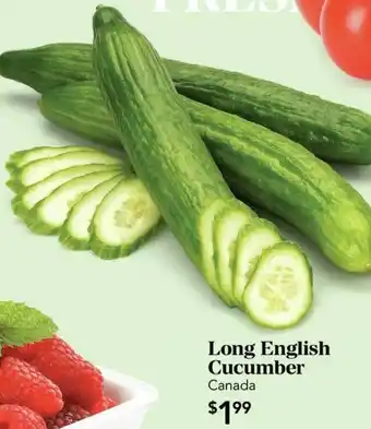 Urban Fare Long English Cucumber offer
