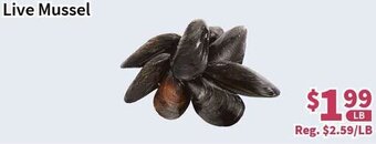 Blue Sky Supermarket Live Mussel offer